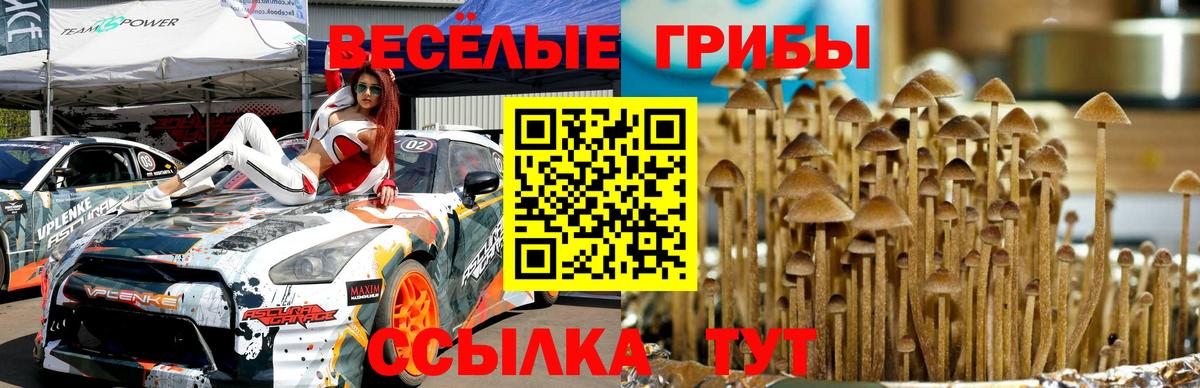 Псилоцибиновые грибы мицелий Сланцы