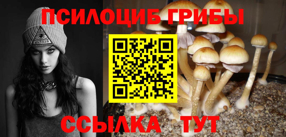 Галлюциногенные грибы Psilocybine cubensis  Вход с VPN  Галлюциногенные грибы GOLDEN TEACHER  Сланцы 